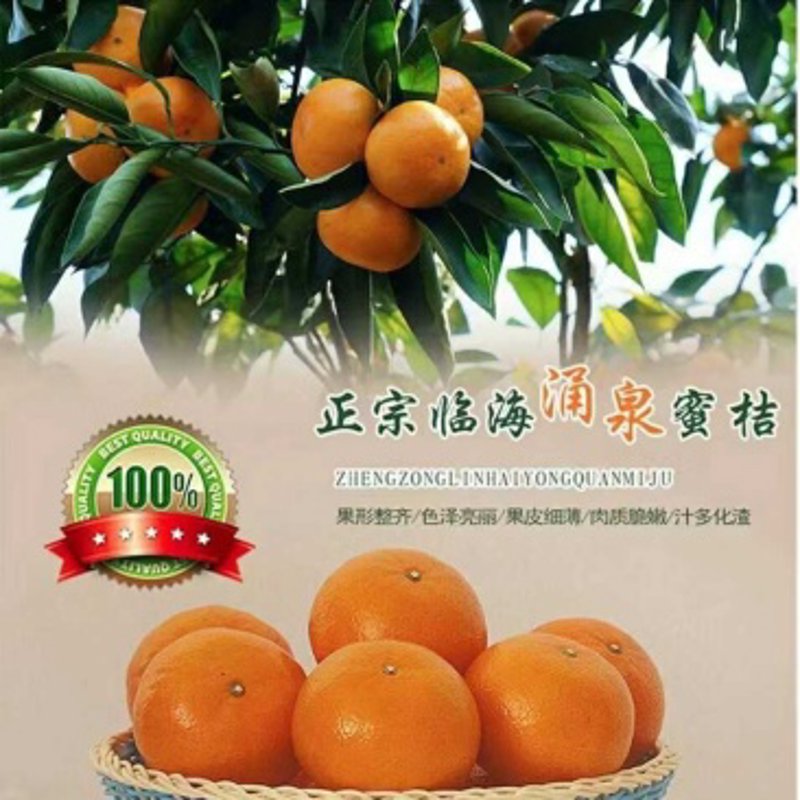 家庭农场直供：一场农业与消费的革命